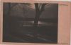 Preview image: Der Waldsee - im Dunkeln Der Waldsee - im Dunkeln