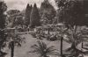 Mainau - Palmenhain - 1961