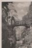 Thale Harz - Teufelsbrücke - ca. 1935