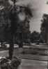 Österreich - Bad Schallerbach - Kurpark - 1960