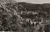 Heidelberg - Blick vom Philosophenweg - ca. 1960