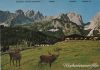 Österreich - Ellmau - Wochenbrunner Alm - ca. 1980