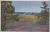Preview image: Blühende Landschaft - ca. 1960 Blühende Landschaft - ca. 1960