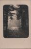 Preview image: Nasser Weg im Wald - ca. 1935 Nasser Weg im Wald - ca. 1935