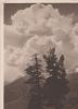 Schweiz. Nationalpark - Gewitterstimmung - 1934