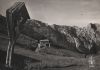 Österreich - Pertisau - Bärenbad-Alpe - 1958