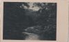 Preview image: Ruhig fließender Waldbach - ca. 1955 Ruhig fließender Waldbach - ca. 1955