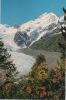 Morteratschgletscher - Schweiz - mit Piz Bernina