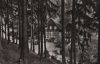 Preview image: Langelsheim - Waldgaststätte Im Tannengrund - ca. 1960 Langelsheim - Waldgaststätte Im Tannengrund - ca. 1960