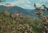 Preview image: Italien - Meran - Merano - Schloss Tirol - 1974 Italien - Meran - Merano - Schloss Tirol - 1974
