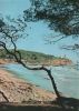 Spanien - Tarragona - Un detalle de la Costa - 1991