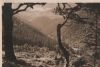 Tabarz - Thüringer Wald - 1952