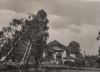 Bad Schandau Ostrau - Ostrauer Scheibe - 1963