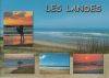 Frankreich - Les Landes - La Cote - 2002