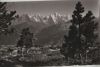 Schweiz - Beatenberg - Ausblick vom Bergfährenwäldchen - 1955