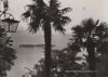 Preview image: Italien - Lago Maggiore - Isola di Brissago - 1960 Italien - Lago Maggiore - Isola di Brissago - 1960