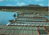 Spanien - Salinas de Janubio - ca. 1980