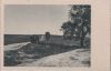 Preview image: Schattenwerfender Baum - ca. 1955 Schattenwerfender Baum - ca. 1955