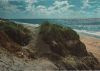Preview image: Dünen am Meer - 1966 Dünen am Meer - 1966