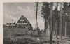 Altenberg Erzgeb. - Waldschänke Altes Raupennest - 1953