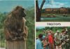 Kenia - Aberdare-Nationalpark, Treetops Hotel - ca. 1980