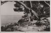 Frankreich - Cap-Martin - La Pinede - ca. 1950