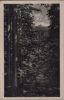 Preview image: Eisenach - Durchblick von Hoher Sonne - 1953 Eisenach - Durchblick von Hoher Sonne - 1953