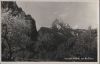 Österreich - Lugauer - vom Moosland - ca. 1955