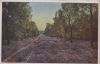Preview image: Heide und Wald - ca. 1960 Heide und Wald - ca. 1960