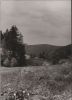 Preview image: Wald und Wiese - 1989 Wald und Wiese - 1989