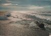 Camargue - Frankreich - Plage