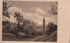 Preview image: Landschaft mit blühenden Bäumen - 1939 Landschaft mit blühenden Bäumen - 1939