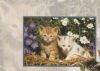 Preview image: Katzen im Blumengarten - 2004 Katzen im Blumengarten - 2004