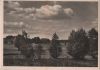 Preview image: Sträucher in der Landschaft - ca. 1955 Sträucher in der Landschaft - ca. 1955