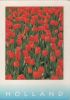Niederlande - Holland - 2000