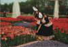 Holland - Niederlande - Blumenschmuck