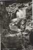 Sankt Blasien - Tuskulum Wasserfall - 1970