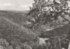 Frauenwald Rennsteig - Blick in Tränkbachtal - 1983