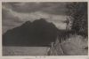 Schweiz - Vierwaldstättersee - Am Meggenhorn - ca. 1950