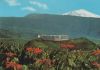 Spanien - Teneriffa - Puerto de La Cruz - 1981