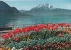 Schweiz - Vierwaldstättersee - Pilatus - 1967