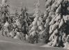 Preview image: Winterwald mit Schnee Winterwald mit Schnee