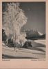 Preview image: Glänzender Reif Winter Glänzender Reif Winter