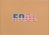 Fahne Amerika Fool