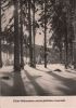 Preview image: Frohe Weihnachten Winterwald Frohe Weihnachten Winterwald