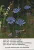 Preview image: Zum Geburtstag Blumen Zum Geburtstag Blumen