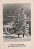 Preview image: Frohes Weihnachtsfest Winterwald Frohes Weihnachtsfest Winterwald