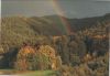 Preview image: Wald mit Regenbogen Wald mit Regenbogen