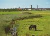 Borkum - Blick vom alten Deich