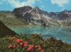 Lünersee - Österreich - Alpenrosen